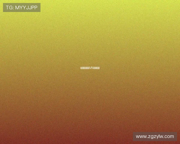 迪詹纳罗点评VN引发深思 迪詹纳罗点评VN引发深思